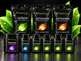 REGENERATE PROGRAM